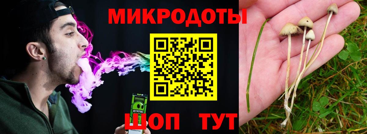 Галлюциногенные грибы Cubensis  Вход с VPN  Балашиха  Галлюциногенные грибы мухоморы 